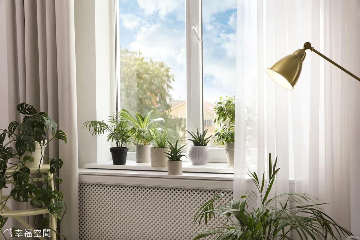 家里日光不足，可以用电灯代替太阳照射植物吗？